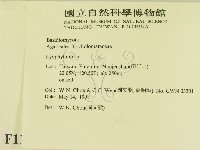 登錄號:F0011108藏品圖，第2張