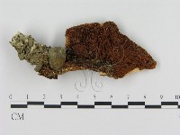 登錄號:F0011108藏品圖，第3張