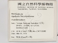 登錄號:F0011110藏品圖，第2張