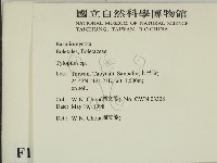登錄號:F0011113藏品圖，第2張