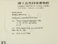 登錄號:F0011114藏品圖，第2張