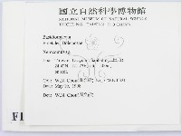 登錄號:F0011116藏品圖，第2張