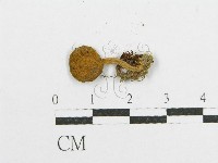 登錄號:F0011116藏品圖，第3張