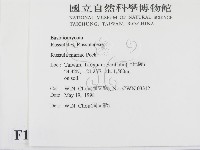 登錄號:F0011117藏品圖，第2張