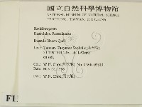 登錄號:F0011118藏品圖，第2張