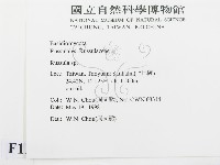 紅菇屬藏品圖，第2張