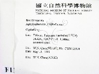 登錄號:F0011120藏品圖，第2張