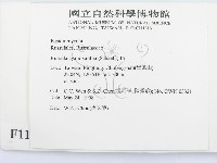 登錄號:F0011124藏品圖，第2張