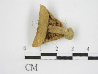 登錄號:F0011124藏品圖，第3張