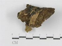 登錄號:F0011125藏品圖，第4張