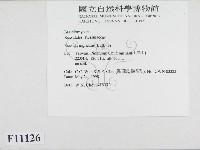 登錄號:F0011126藏品圖，第2張