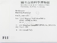 登錄號:F0011127藏品圖，第2張