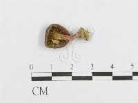 登錄號:F0011127藏品圖，第1張