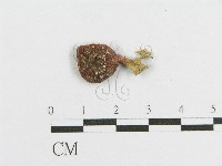登錄號:F0011127藏品圖，第3張