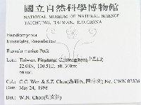 登錄號:F0011129藏品圖，第2張