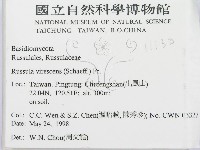 登錄號:F0011130藏品圖，第2張