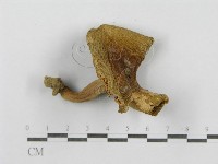 登錄號:F0011130藏品圖，第3張