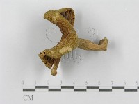登錄號:F0011130藏品圖，第4張