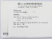 紅菇屬藏品圖，第2張