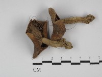登錄號:F0011134藏品圖，第1張
