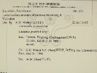 登錄號:F0011135藏品圖，第2張