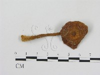 登錄號:F0011135藏品圖，第3張