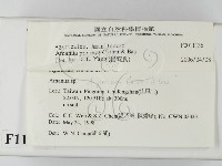登錄號:F0011136藏品圖，第2張
