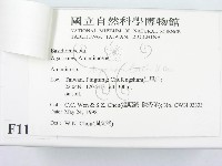 登錄號:F0011136藏品圖，第3張