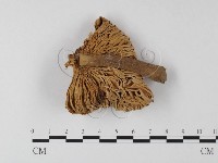 登錄號:F0011136藏品圖，第1張