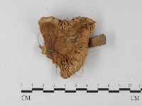 登錄號:F0011136藏品圖，第4張
