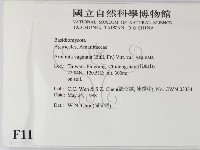 登錄號:F0011137藏品圖，第2張