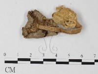 登錄號:F0011137藏品圖，第1張