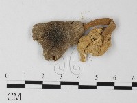 登錄號:F0011137藏品圖，第3張