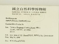 登錄號:F0011138藏品圖，第2張