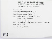 登錄號:F0011139藏品圖，第2張