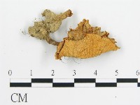 登錄號:F0011139藏品圖，第3張