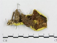 登錄號:F0011140藏品圖，第3張
