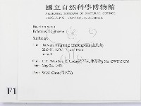 登錄號:F0011141藏品圖，第2張