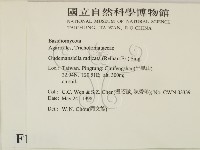登錄號:F0011142藏品圖，第2張