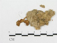 登錄號:F0011144藏品圖，第3張