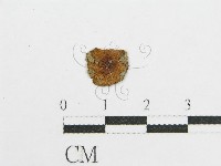 登錄號:F0011145藏品圖，第1張