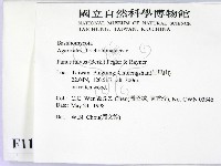 登錄號:F0011149藏品圖，第2張