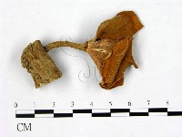 登錄號:F0011149藏品圖，第1張