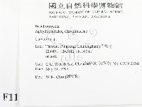 登錄號:F0011151藏品圖，第2張