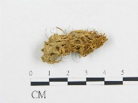登錄號:F0011151藏品圖，第1張