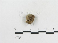 登錄號:F0011152藏品圖，第3張