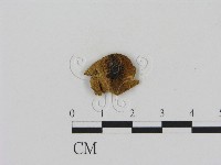 登錄號:F0011153藏品圖，第1張