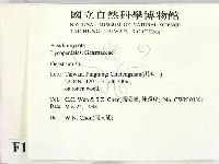 地星屬藏品圖，第2張
