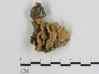 登錄號:F0011156藏品圖，第1張