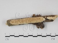 登錄號:F0011157藏品圖，第1張